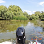 DSCN7297.JPG