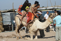 DSC05879.JPG