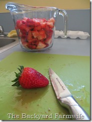 strawberry canning day - The Backyard Farmwife