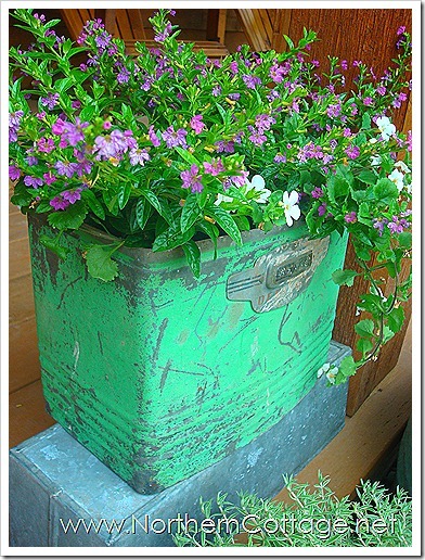home-055_thumb2 home-055_thumb2