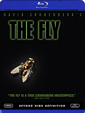 Fly Fly
