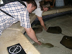 Me, petting a horseshoe crab.  I petted a ray, too.  The crab felt like a mossy log, while the ray felt like a wet gummy bear.