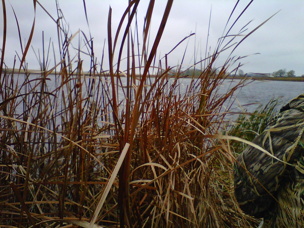 [IMG00288-20111013-0925%255B3%255D.jpg]