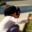 Front yard 108.JPG