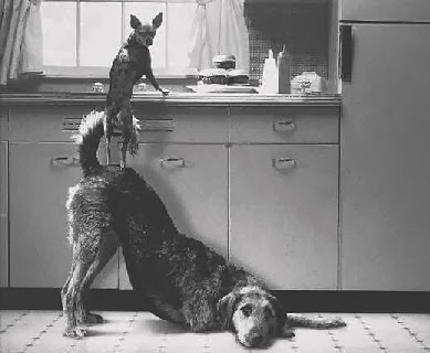 [amizade1%255B3%255D.jpg]