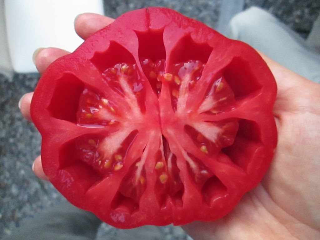 [TO-Cuor-de-Bue13.jpg]