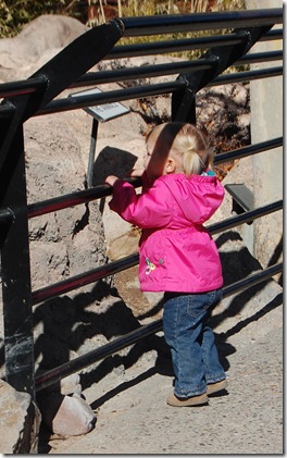 The Zoo, January 2012 035