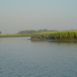 A tidal creek.