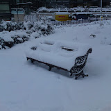DSC00322.JPG