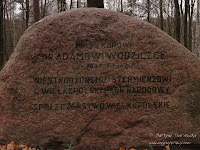 dsc05381.jpg