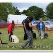Pet Dogs 002.jpg