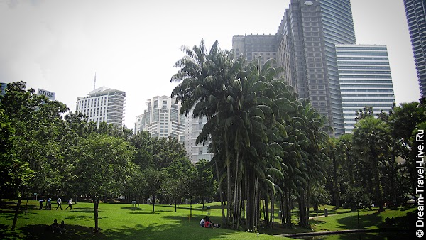 IMG_20120628_125649.jpg