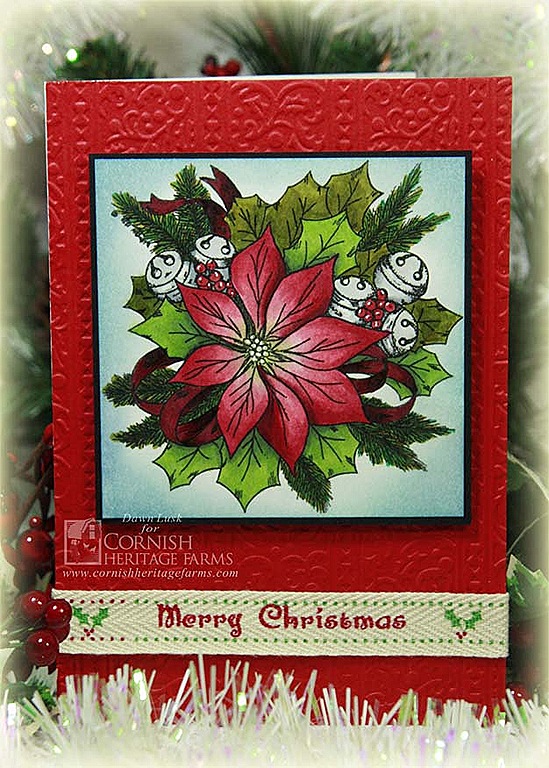 [Poinsettia%255B8%255D.jpg]