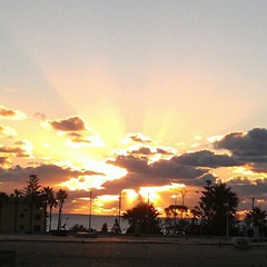 sunset