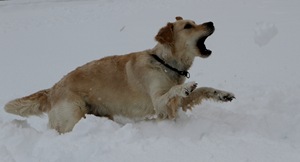IMG_0735