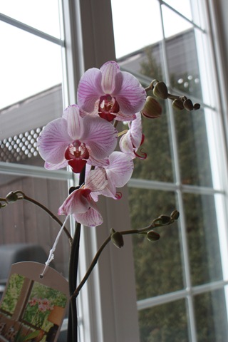 [IMG_8125%255B2%255D.jpg]