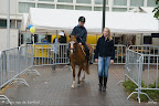 Teljoorlekkersdag 2011: Foto