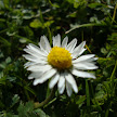 DSC00423.JPG