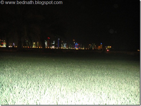 Doha’s Cornice @ That Night Doha’s Cornice @ That Night
