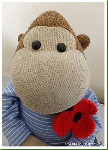 Knitted Poppy