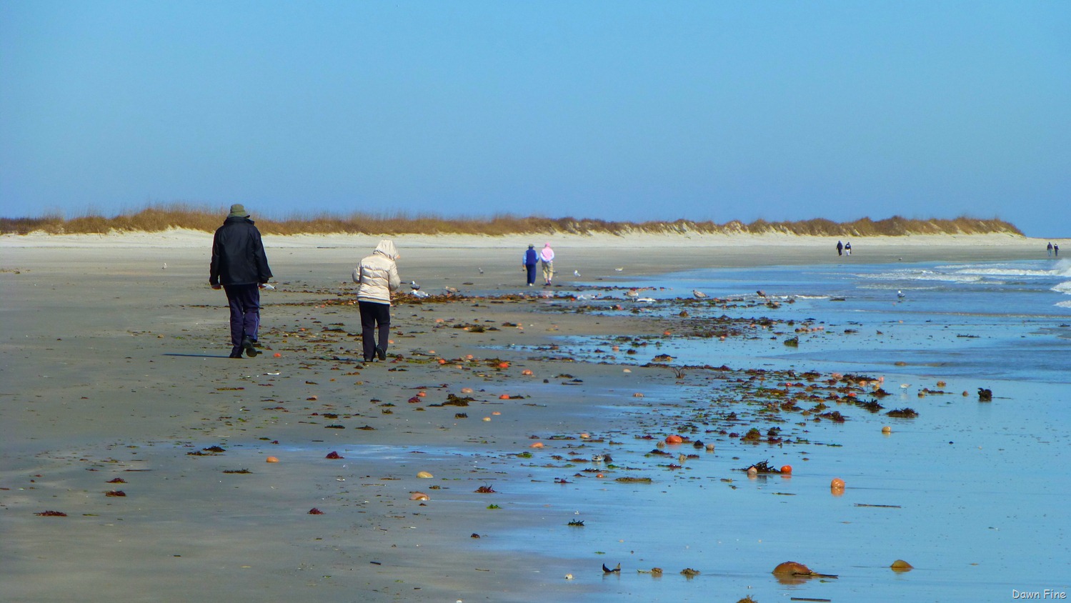 [Beach%2520Debris%2520North%2520beach_020.jpg]