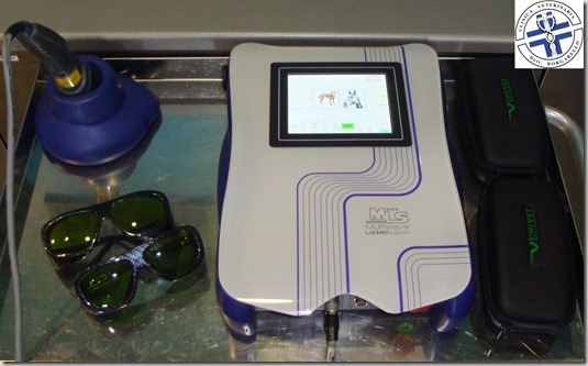 laser-terapia-veterinaria laser-terapia-veterinaria