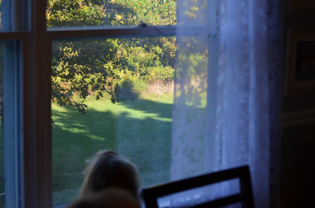 [DSC_2611%255B4%255D.jpg]