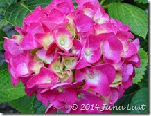 IMG_0480 IMG_0480