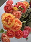 Sunset-hued ranunculus.