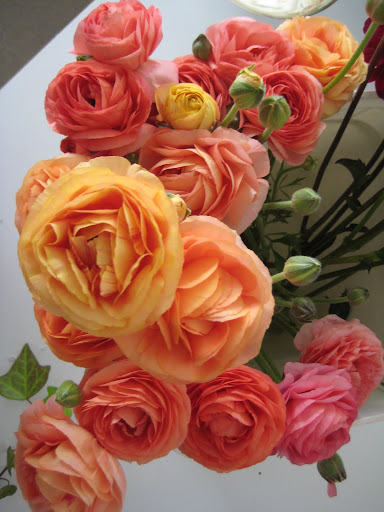 Sunset-hued ranunculus.