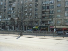 DSC05504