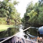 DSCN3196.JPG