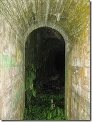 IMG_3106 IMG_3106