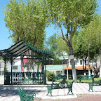 P1020024.JPG