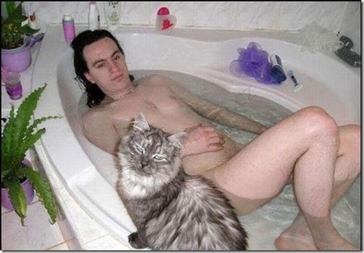 strange-cats-expain-that-38