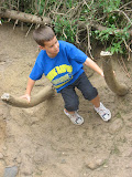 IMG_8716.JPG
