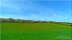 [SAM_0228%255B6%255D.jpg]