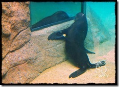 ZooTrip5-16-12a