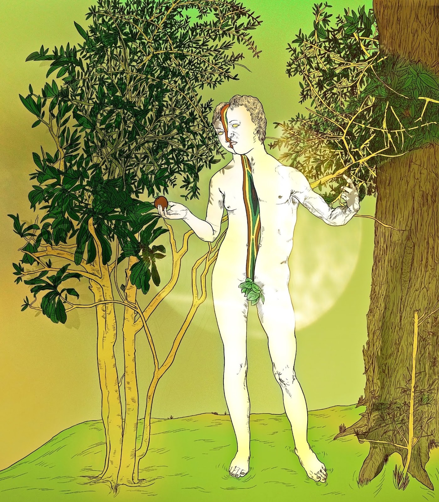 [_AndroginoBG2Final%255B5%255D.jpg]