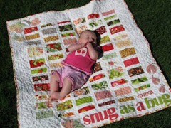 snug as a bug quilt snug as a bug quilt