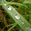 dsc06785.jpg