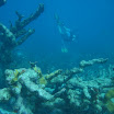  Scuba Dive Buck Island Reef
