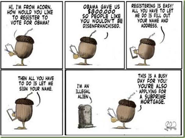 acorn-voter-fraud-cartoon