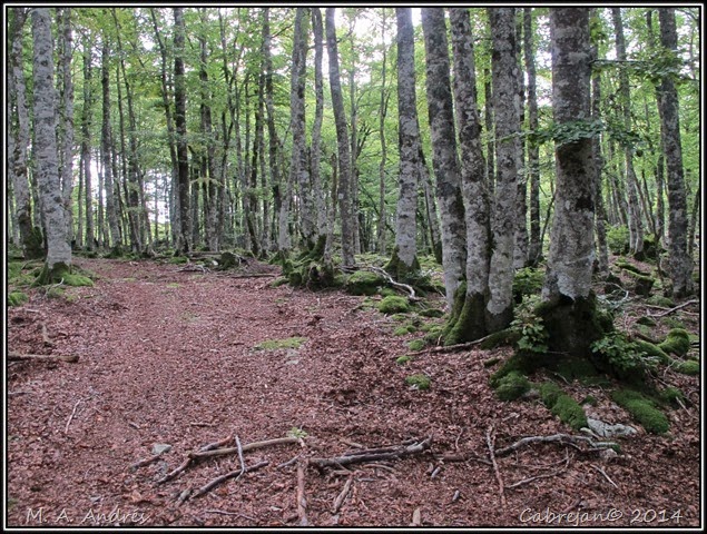 btt urbasa 153 btt urbasa 153