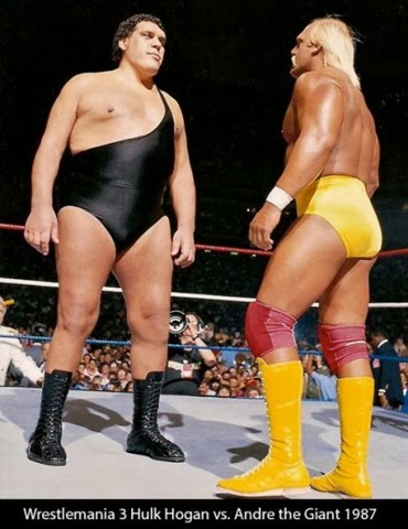 [andre-giant-facts-016%255B2%255D.jpg]