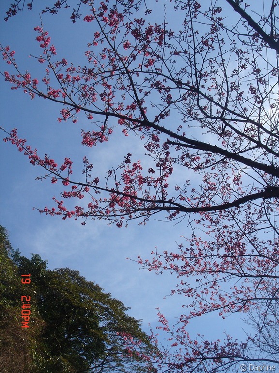 [DSC09033%255B5%255D.jpg]