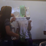 Trabalho de Geografia turma 2001/2015