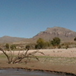 View album