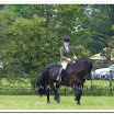 Light Horse 019.jpg