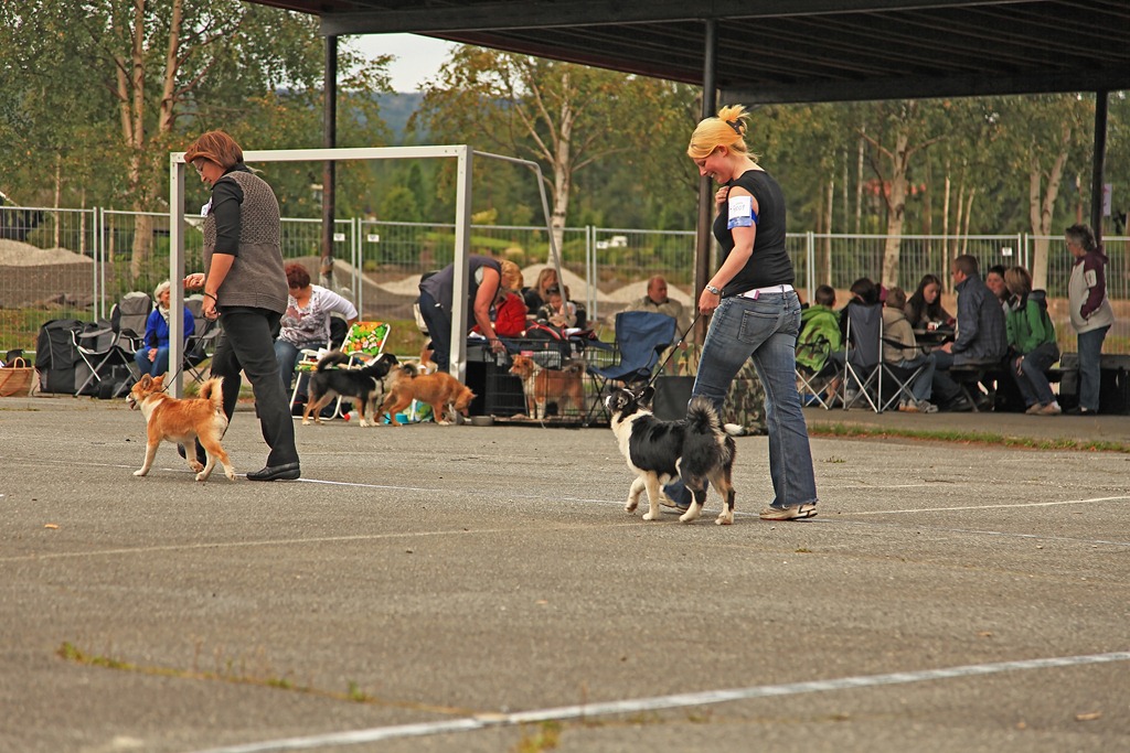 [Spesialen%25202011_210811_2348%255B4%255D.jpg]